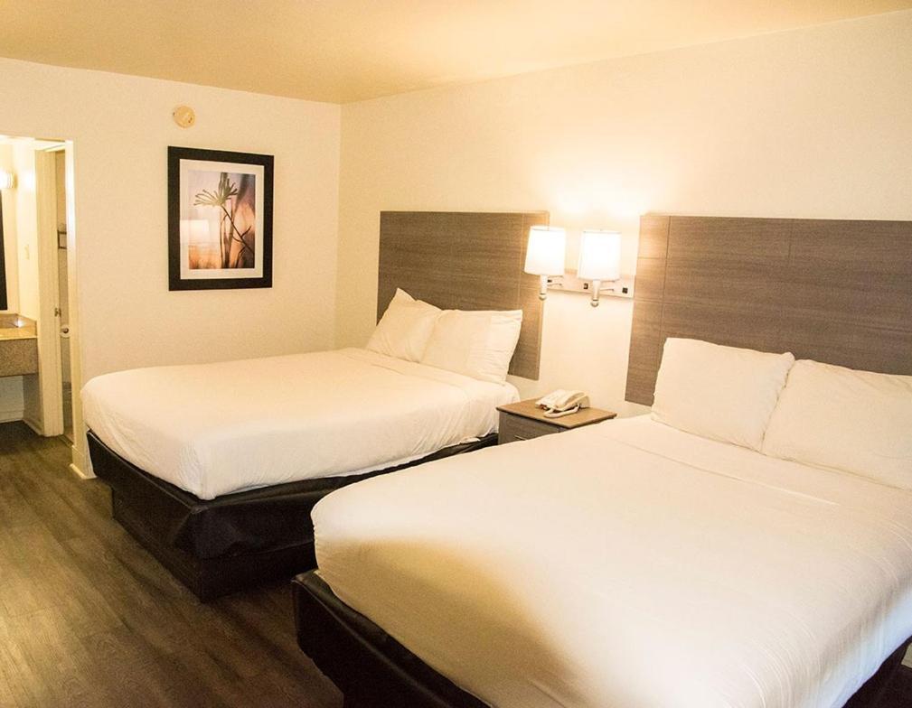 Exacta Inn Minden Dış mekan fotoğraf